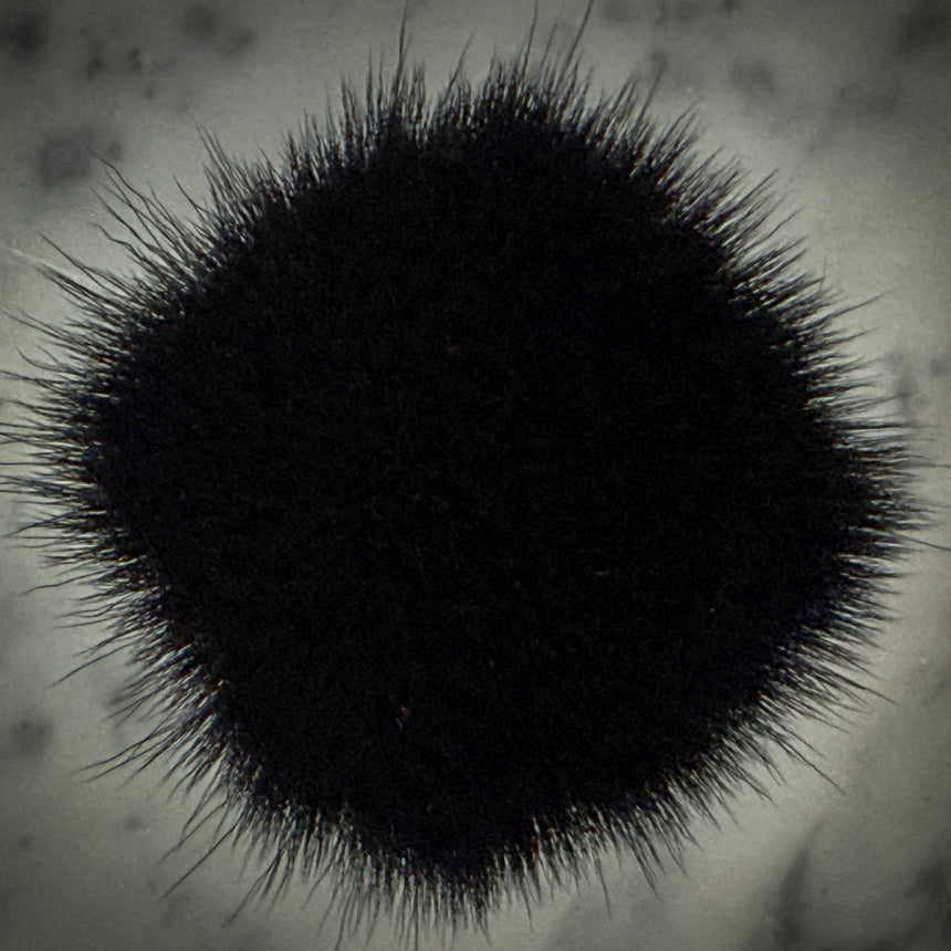 Soot Sprite Synthetic Knot