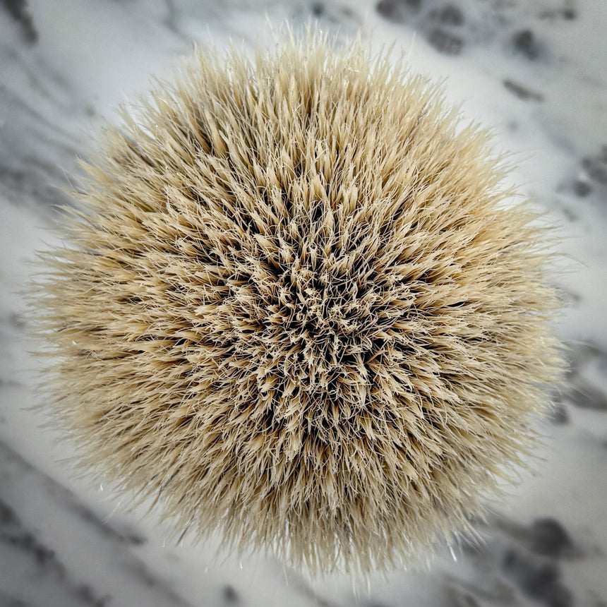 v28 Fanchurian Knot