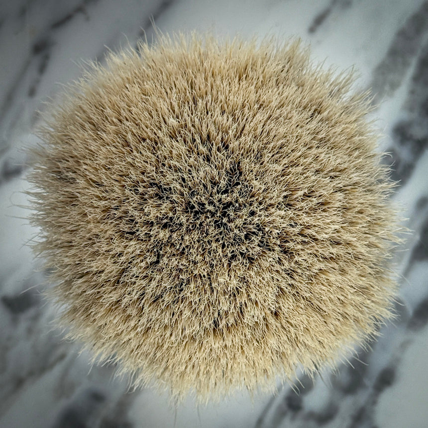 v28 Fanchurian Knot