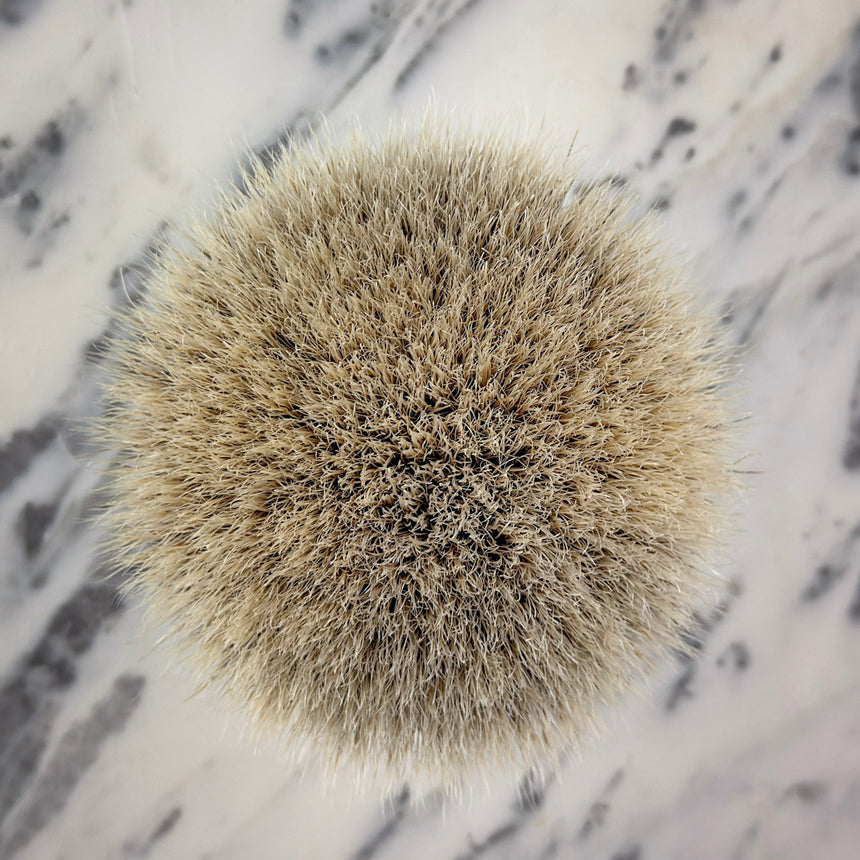v31 Fanchurian Knot