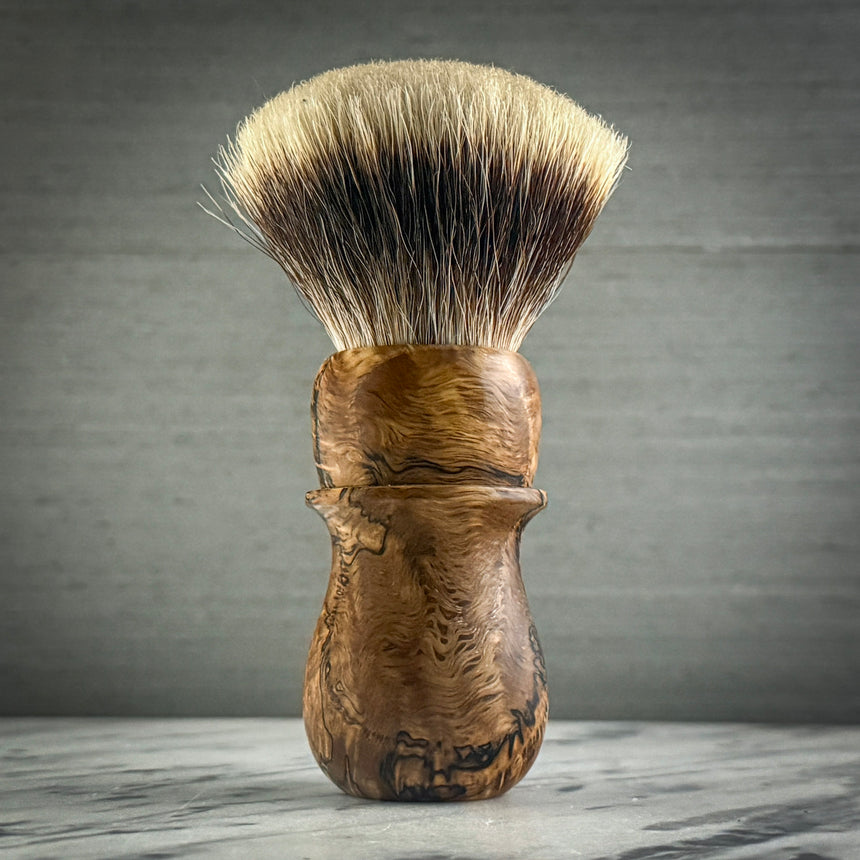 5892RC Quercus Rubra