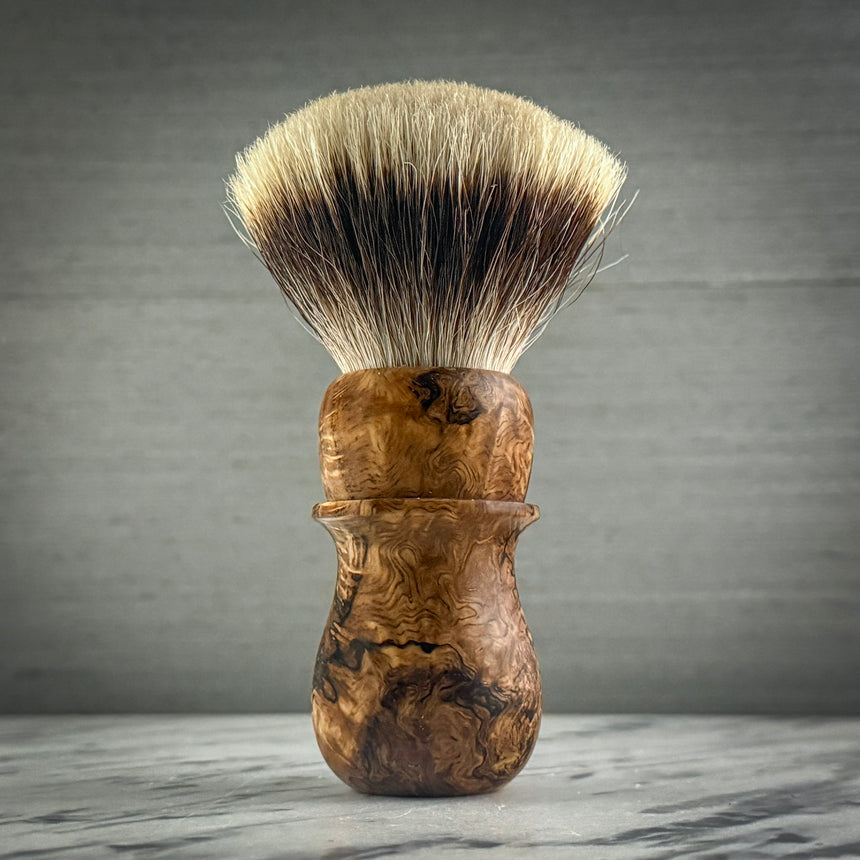 5892RC Quercus Rubra