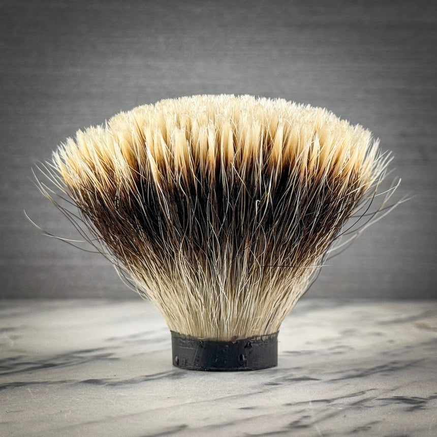 v31 Fanchurian Knot