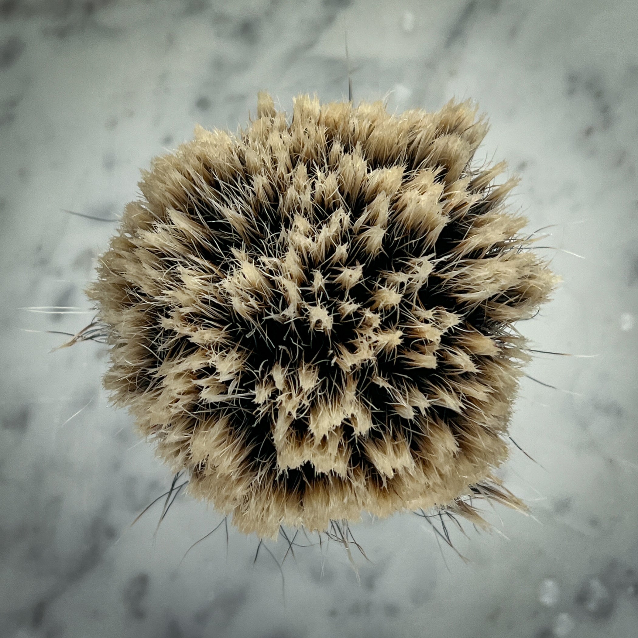 Chisel & Hound chiselandhound