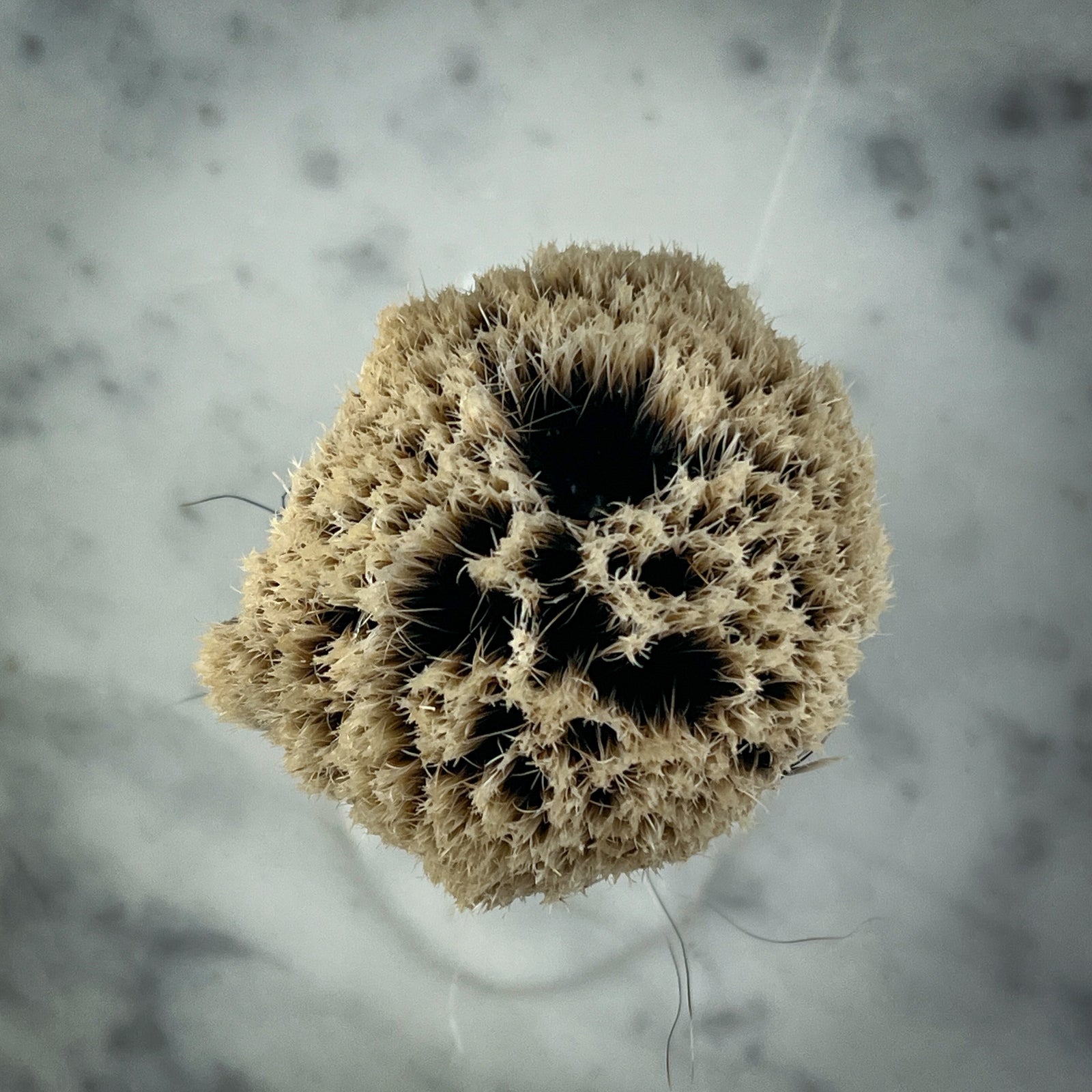 Chisel & Hound chiselandhound