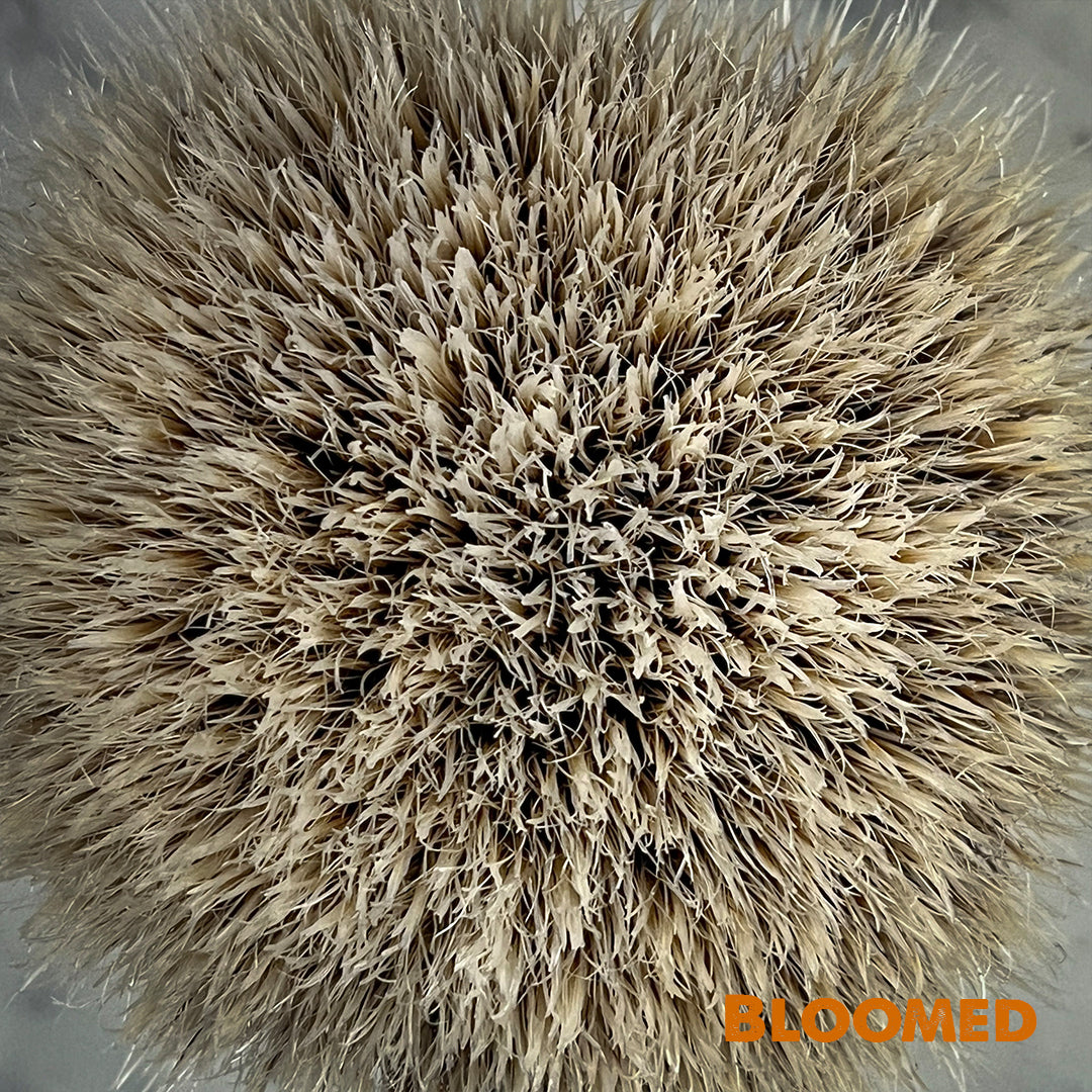 Chisel & Hound chiselandhound