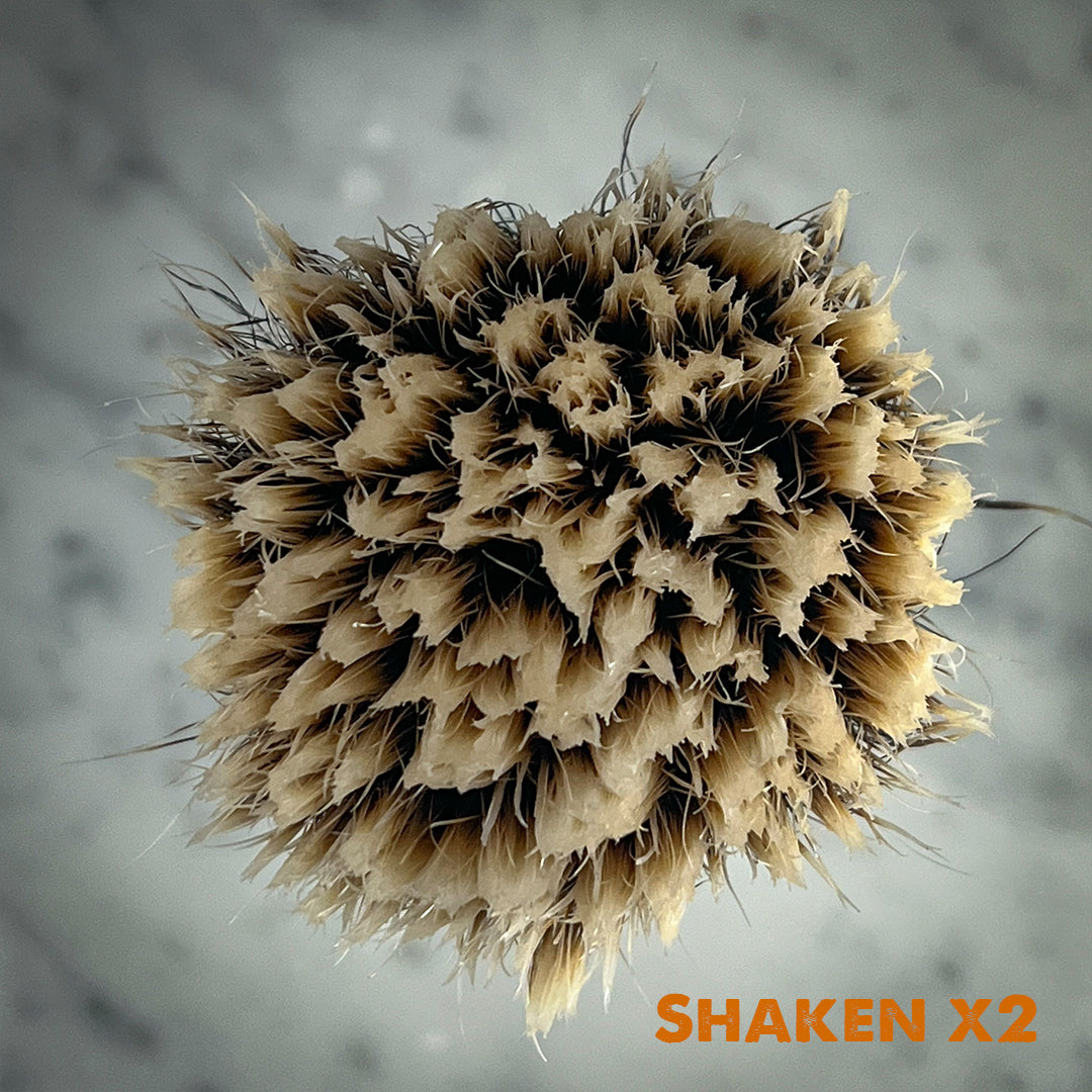 Chisel & Hound chiselandhound